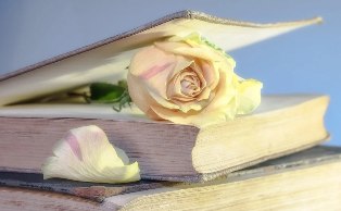 Выставка православной книги открылась в Молжаниновском. Фото: pixabay